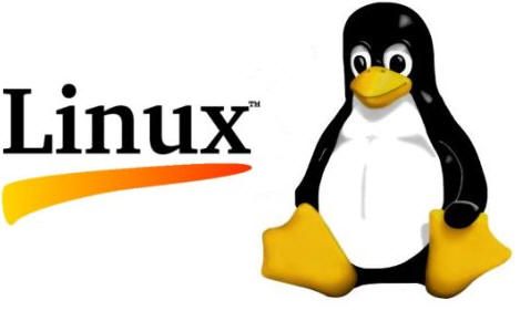 20añosdeLinux03 20 años de Linux y lo mejor está por venir