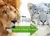 Guía para volver de Mac OS X Lion a Snow Leopard
