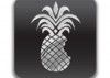 Redsn0w 0.9.10b3, soluciona bugs del jailbreak untethered 5.0.1
