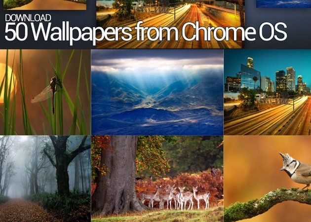 Chrome OS Walls Descarga los 50 wallpapers de Chrome OS