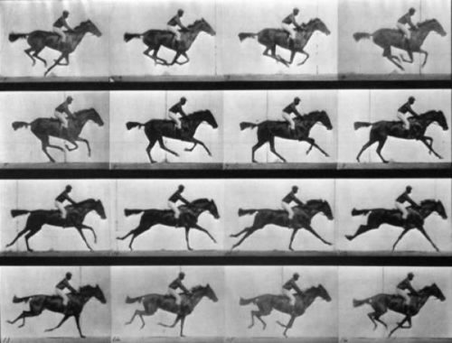 Google recrea «El caballo en movimiento» en memoria de Eadweard Muybridge