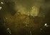 Diablo III llega a equipos Windows y Mac