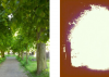 ¿Qué pasa si aplicas todos los filtros de Instagram a una fotografía?