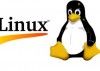 Linux bate récords en supercomputación con el 94% del top-500