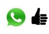 Solución a Error: status unavailable en WhatsApp