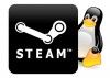 Buena acogida de Linux en Steam con Windows 8 triunfando a pesar de Newell