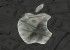 Apple acusada de evadir 44.000 millones de dólares en impuestos