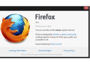 Firefox 21