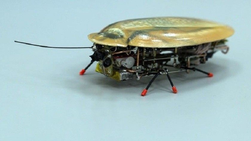 El robot más pequeño del mundo parece una cucaracha
