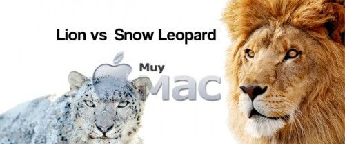 Lion vs Snow Leopard