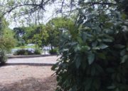 Muestra foto 5mpx Eee Pad Slider