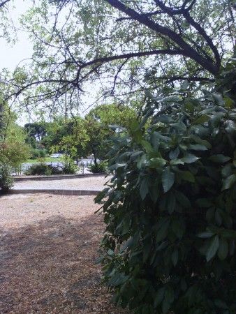 Muestra foto 5mpx Eee Pad Slider