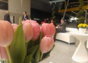 Foto hecha con Lumia 800