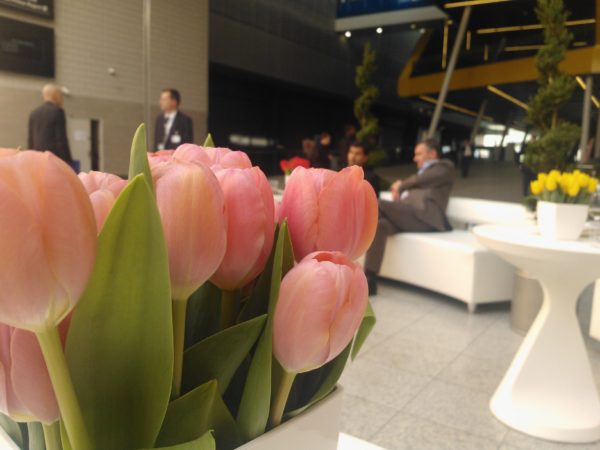 WP_0000191 Foto hecha con Lumia 800