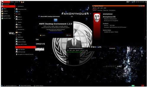 Anonymous OS era un fake plagado de troyanos 28
