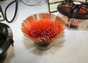 Warm Tek Blode HedgeHog