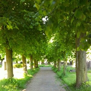 instagram-01-300x300