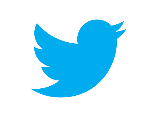 twitter-new-bird