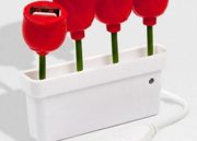 USB flores