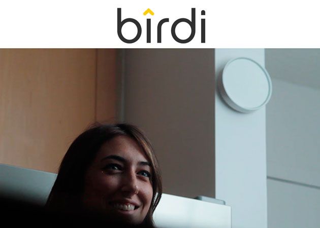 Birdi
