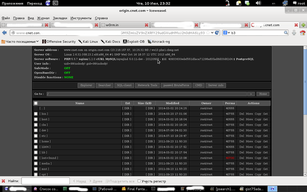 w0rm ha hackeado CNET