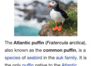 Wikipedia para iOS 1