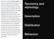 Wikipedia para iOS 2