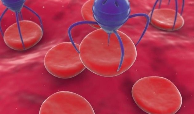 nanobots contra el cáncer