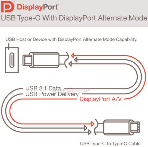 DisplayPort en USB
