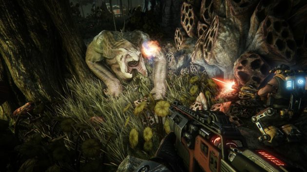 requisitos para la Gran Alpha de Evolve