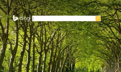 Bing alcanza el 20% de cuota en búsquedas desde PC en Estados Unidos