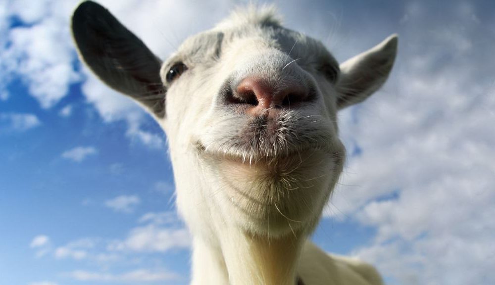 goat simulator