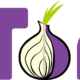 Tor se hace con el TLD .onion para usos especiales