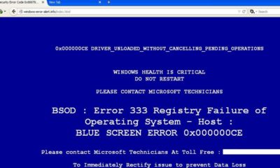 Malware en falsos pantallazos azules de Windows 30