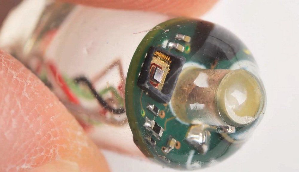 El MIT desarrolla un sensor para ingerir que mide los signos vitales