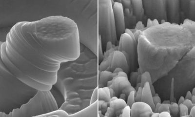 Investigadores de UCLA crean un metal resistente y ligero