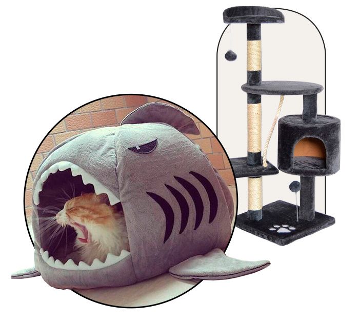 regalo-gatos-tplink (1)