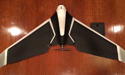 Parrot Disco