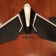 Parrot Disco