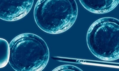 Reino Unido da el OK a la modificación de embriones 46