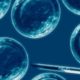 Reino Unido da el OK a la modificación de embriones 48