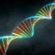ADN sintético para conseguir una humanidad perfecta 67