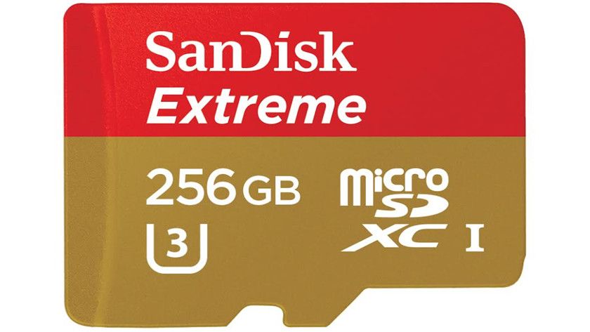 microSD 256 GB