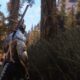 ¿Veremos una versión remasterizada de Skyrim en el E3? 56