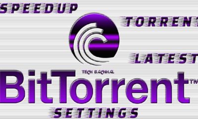búsqueda de torrents