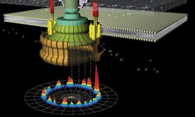 máquinas moleculares