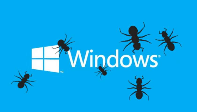 parches de seguridad