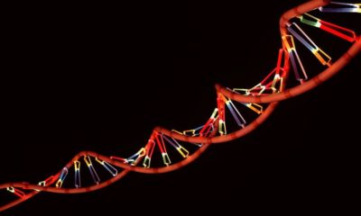 ¿Computadoras basadas en ADN? La ciencia confirma que es posible 53