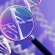 Las agencias contra el dopaje prohibirán la edición genética en 2018 39