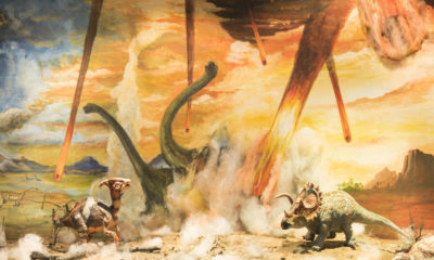 extinción de los dinosaurios